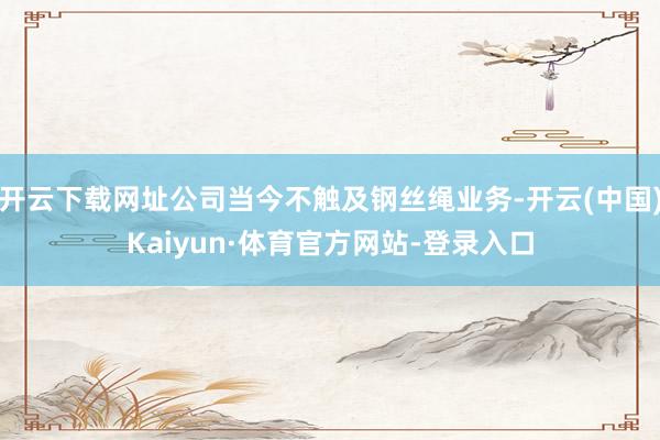 开云下载网址公司当今不触及钢丝绳业务-开云(中国)Kaiyun·体育官方网站-登录入口