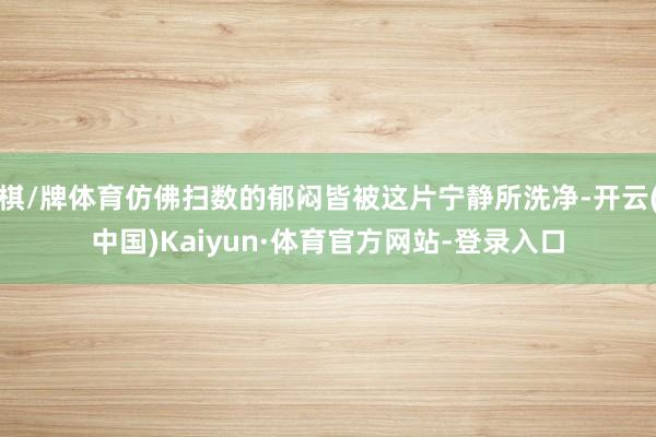 棋/牌体育仿佛扫数的郁闷皆被这片宁静所洗净-开云(中国)Kaiyun·体育官方网站-登录入口