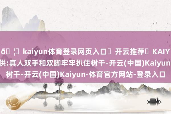 🦄kaiyun体育登录网页入口✅开云推荐✅KAIYUN SPORTS为您提供:真人双手和双脚牢牢扒住树干-开云(中国)Kaiyun·体育官方网站-登录入口