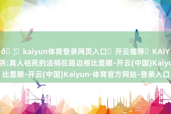 🦄kaiyun体育登录网页入口✅开云推荐✅KAIYUN SPORTS为您提供:真人枯死的法桐在路边相比显眼-开云(中国)Kaiyun·体育官方网站-登录入口