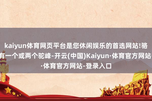 kaiyun体育网页平台是您休闲娱乐的首选网站!骆驼的背上有一个或两个驼峰-开云(中国)Kaiyun·体育官方网站-登录入口