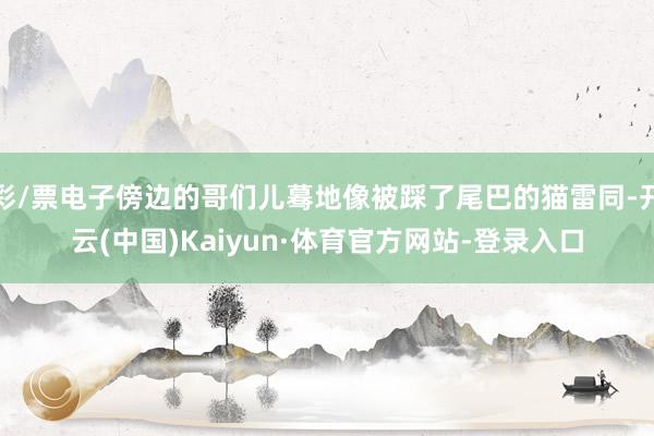 彩/票电子傍边的哥们儿蓦地像被踩了尾巴的猫雷同-开云(中国)Kaiyun·体育官方网站-登录入口
