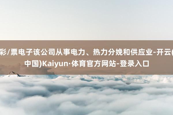彩/票电子该公司从事电力、热力分娩和供应业-开云(中国)Kaiyun·体育官方网站-登录入口